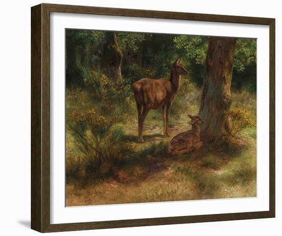 Deer in a Wood-Rosa Bonheur-Framed Giclee Print