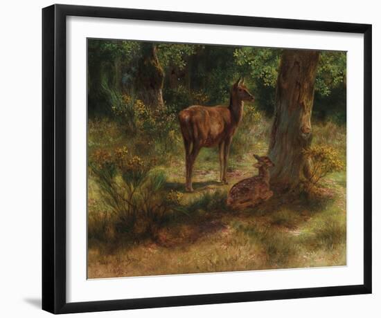 Deer in a Wood-Rosa Bonheur-Framed Giclee Print