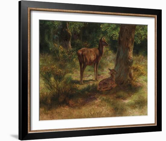 Deer in a Wood-Rosa Bonheur-Framed Giclee Print