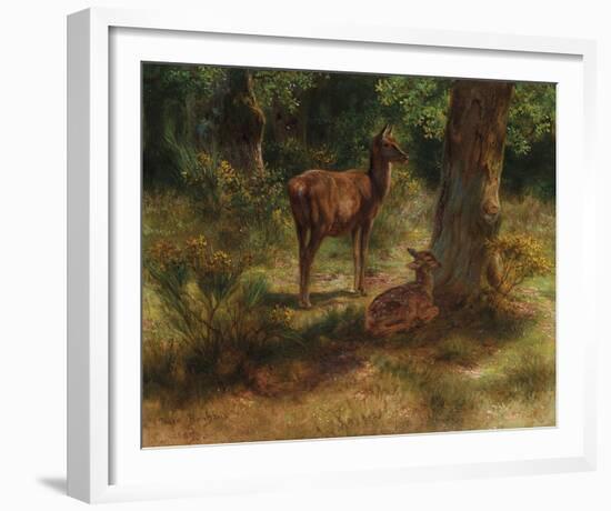 Deer in a Wood-Rosa Bonheur-Framed Giclee Print