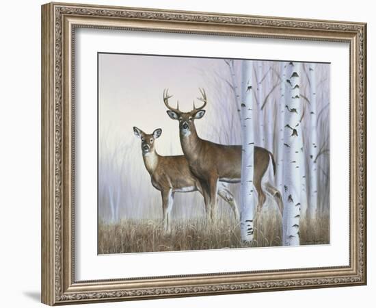 Deer in Birch Woods-Rusty Frentner-Framed Giclee Print