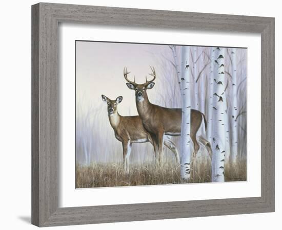 Deer in Birch Woods-Rusty Frentner-Framed Giclee Print