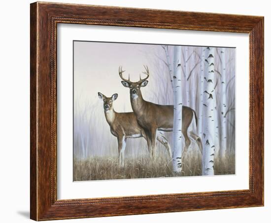 Deer in Birch Woods-Rusty Frentner-Framed Giclee Print