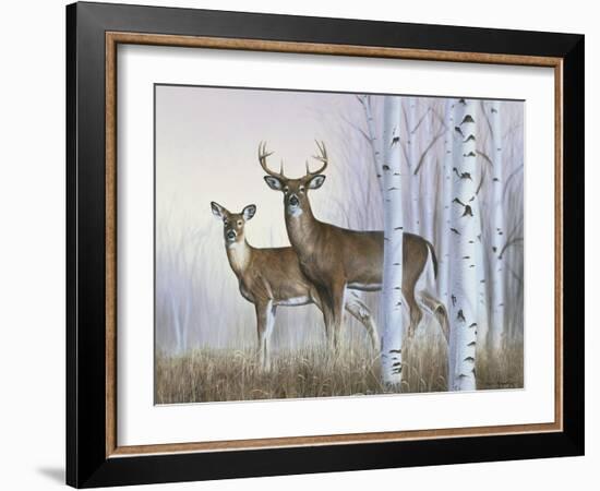 Deer in Birch Woods-Rusty Frentner-Framed Giclee Print