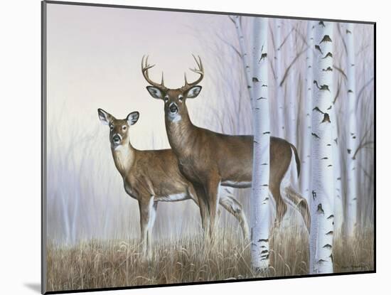 Deer in Birch Woods-Rusty Frentner-Mounted Giclee Print