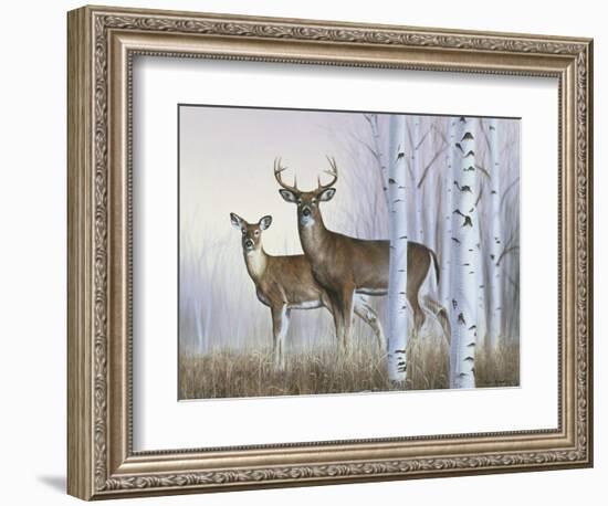 Deer in Birch Woods-Rusty Frentner-Framed Giclee Print