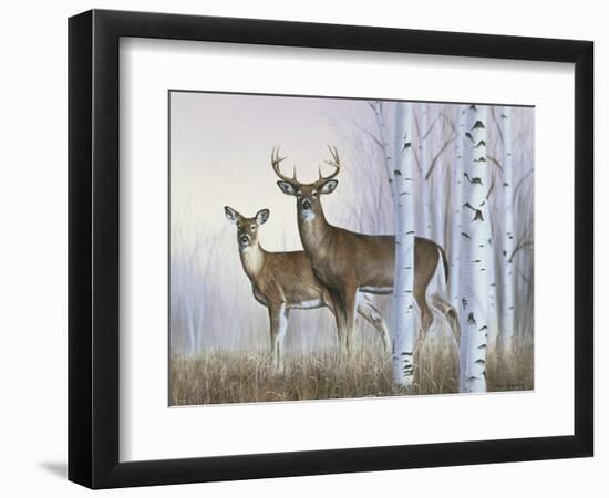 Deer in Birch Woods-Rusty Frentner-Framed Giclee Print