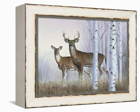 Deer in Birch Woods-Rusty Frentner-Framed Premier Image Canvas