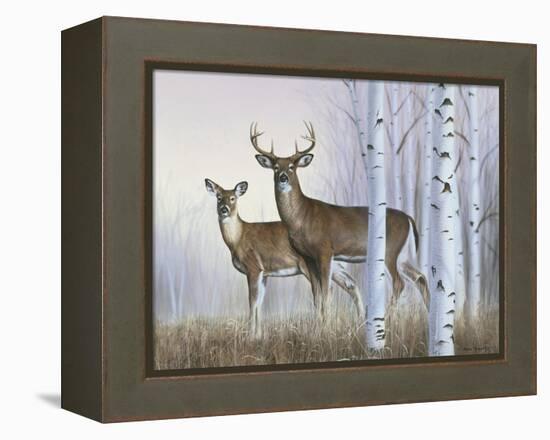 Deer in Birch Woods-Rusty Frentner-Framed Premier Image Canvas