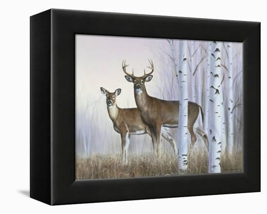 Deer in Birch Woods-Rusty Frentner-Framed Premier Image Canvas