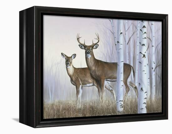 Deer in Birch Woods-Rusty Frentner-Framed Premier Image Canvas