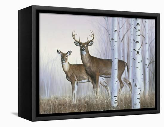 Deer in Birch Woods-Rusty Frentner-Framed Premier Image Canvas