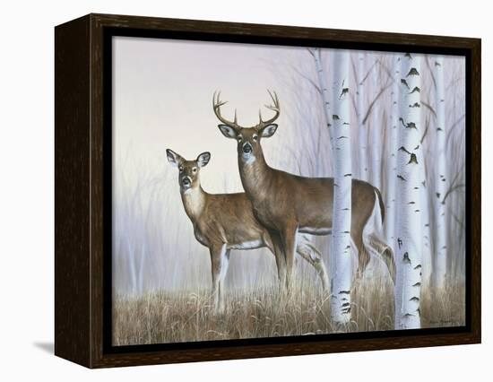 Deer in Birch Woods-Rusty Frentner-Framed Premier Image Canvas