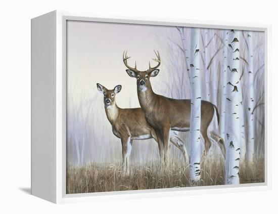 Deer in Birch Woods-Rusty Frentner-Framed Premier Image Canvas