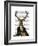 Deer in Chair-Fab Funky-Framed Premium Giclee Print