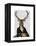 Deer in Chair-Fab Funky-Framed Stretched Canvas