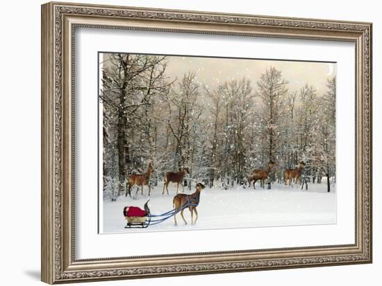 Deer In Forest-Nancy Tillman-Framed Premium Giclee Print
