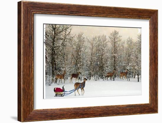 Deer In Forest-Nancy Tillman-Framed Premium Giclee Print