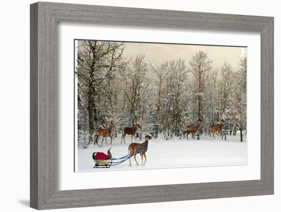 Deer In Forest-Nancy Tillman-Framed Premium Giclee Print