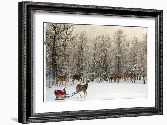 Deer In Forest-Nancy Tillman-Framed Premium Giclee Print