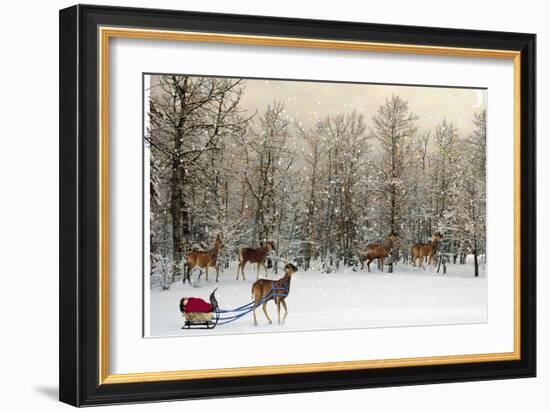 Deer In Forest-Nancy Tillman-Framed Premium Giclee Print