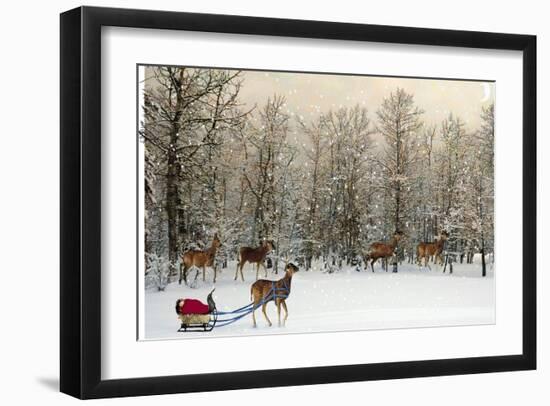 Deer In Forest-Nancy Tillman-Framed Premium Giclee Print