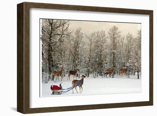 Deer In Forest-Nancy Tillman-Framed Premium Giclee Print