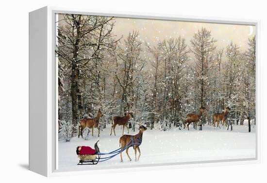 Deer In Forest-Nancy Tillman-Framed Stretched Canvas