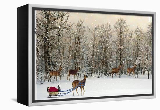 Deer In Forest-Nancy Tillman-Framed Stretched Canvas