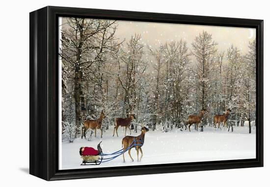 Deer In Forest-Nancy Tillman-Framed Stretched Canvas