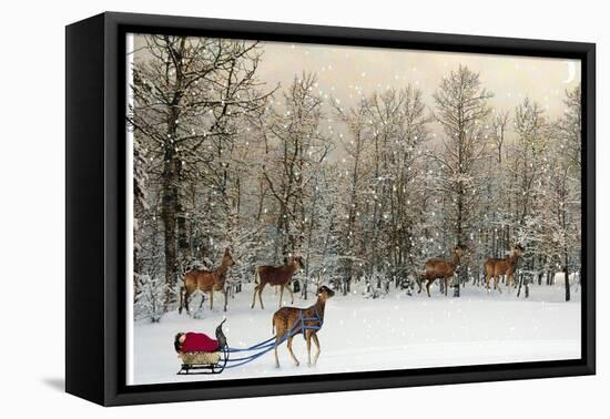 Deer In Forest-Nancy Tillman-Framed Stretched Canvas