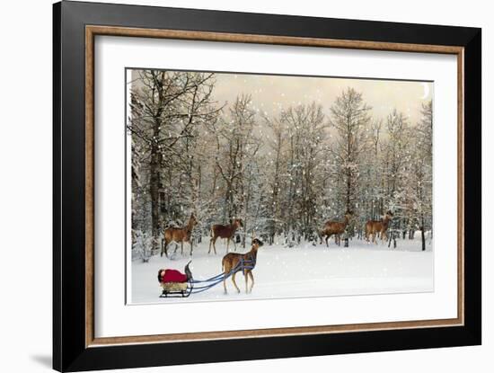 Deer In Forest-Nancy Tillman-Framed Art Print