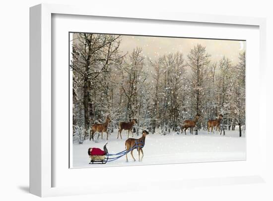 Deer In Forest-Nancy Tillman-Framed Art Print