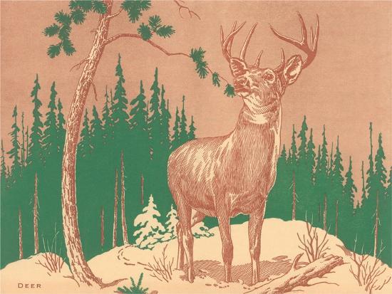 Art Print, , large