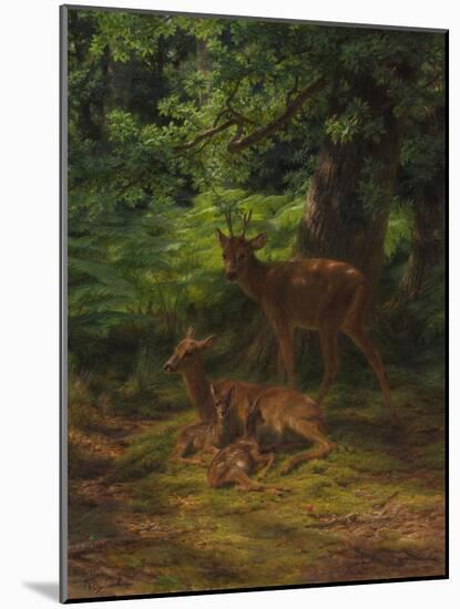 Deer in Repose, 1867-Rosa Bonheur-Mounted Giclee Print