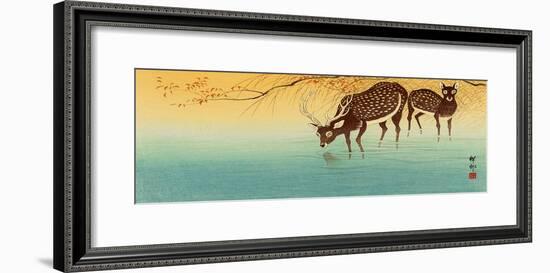 Deer in Shallow Water-Koson Ohara-Framed Giclee Print