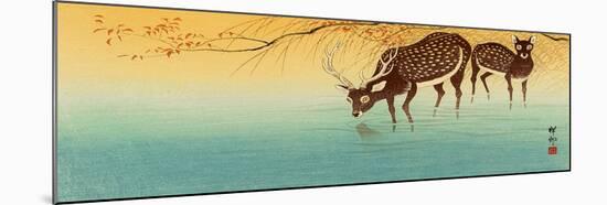 Deer in Shallow Water-Koson Ohara-Mounted Giclee Print
