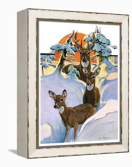 "Deer in Snow,"February 7, 1931-Paul Bransom-Framed Premier Image Canvas