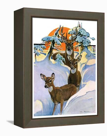 "Deer in Snow,"February 7, 1931-Paul Bransom-Framed Premier Image Canvas