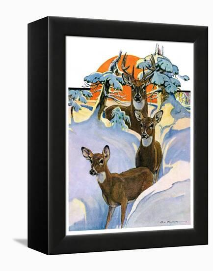 "Deer in Snow,"February 7, 1931-Paul Bransom-Framed Premier Image Canvas