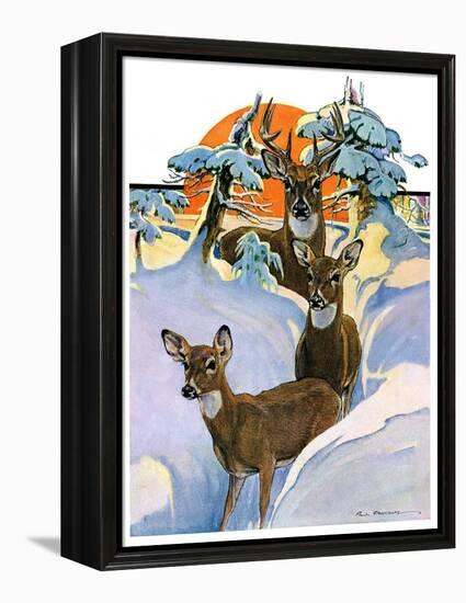 "Deer in Snow,"February 7, 1931-Paul Bransom-Framed Premier Image Canvas