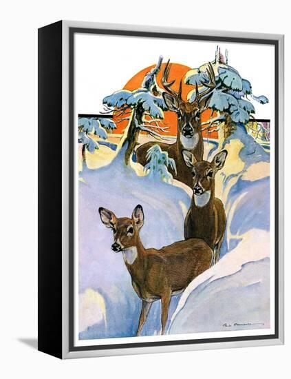 "Deer in Snow,"February 7, 1931-Paul Bransom-Framed Premier Image Canvas