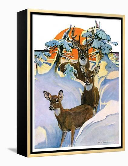 "Deer in Snow,"February 7, 1931-Paul Bransom-Framed Premier Image Canvas