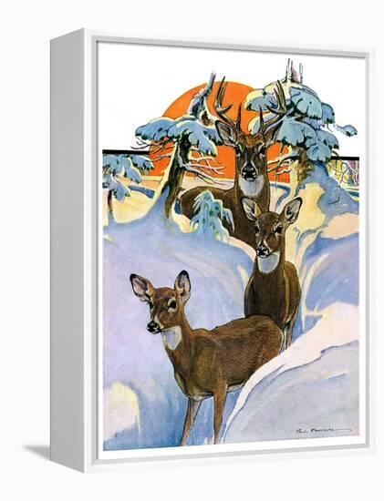 "Deer in Snow,"February 7, 1931-Paul Bransom-Framed Premier Image Canvas