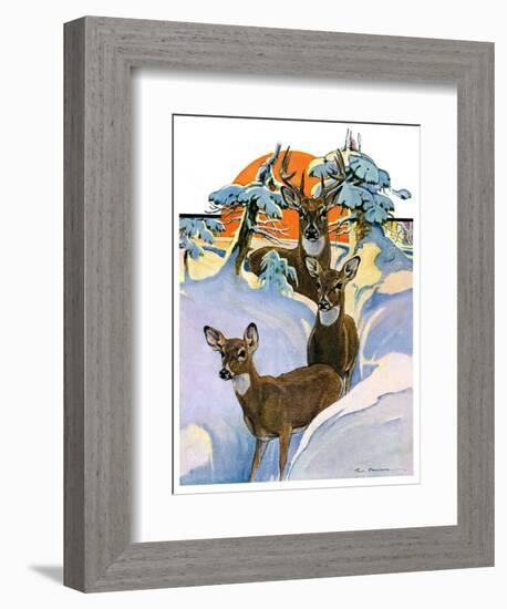 "Deer in Snow,"February 7, 1931-Paul Bransom-Framed Giclee Print