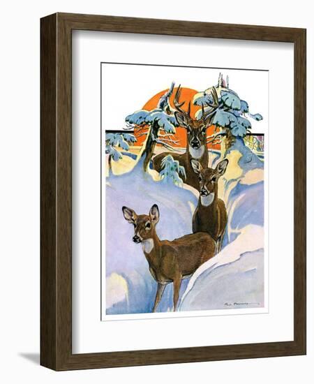 "Deer in Snow,"February 7, 1931-Paul Bransom-Framed Giclee Print