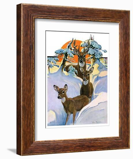 "Deer in Snow,"February 7, 1931-Paul Bransom-Framed Giclee Print