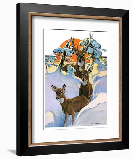 "Deer in Snow,"February 7, 1931-Paul Bransom-Framed Giclee Print