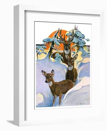 "Deer in Snow,"February 7, 1931-Paul Bransom-Framed Giclee Print