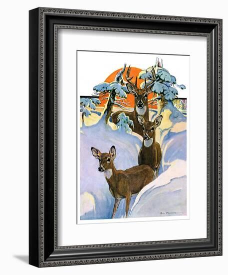 "Deer in Snow,"February 7, 1931-Paul Bransom-Framed Giclee Print